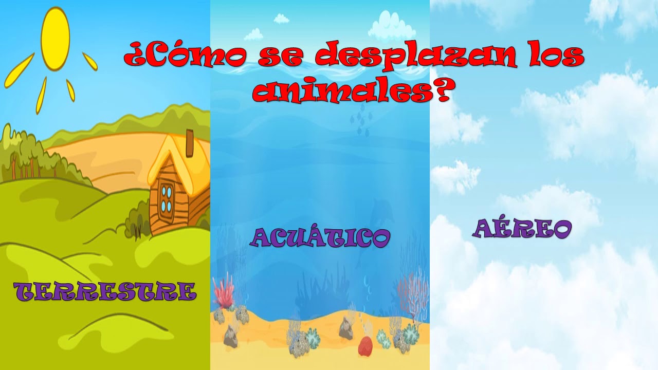 ¿Cómo se desplazan los animales?