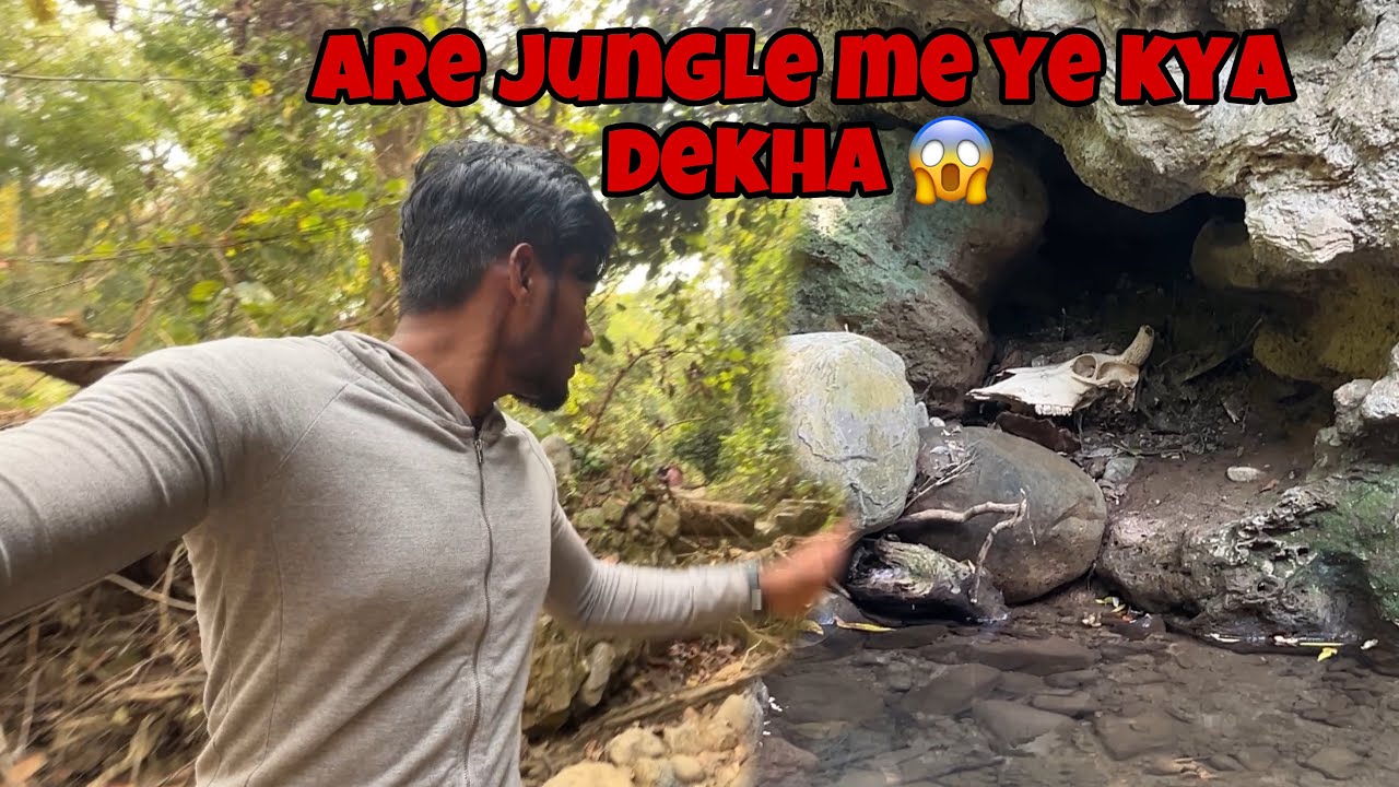 Jungal Me Ye Kya Dehka 😱 // Jim Corbett National Park // ​⁠​⁠@Bibeek2k19vlogs