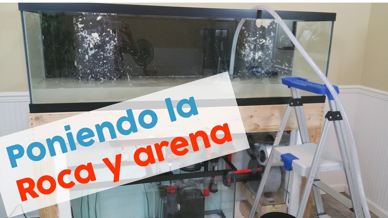 Instalación de una pecera marina - Roca, Arena y Agua