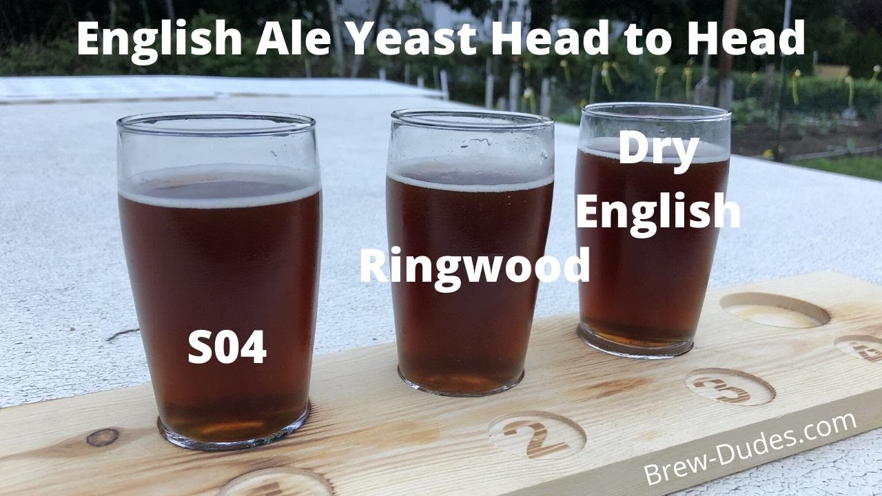 3 English Ale Yeasts [Side By Side Comparison!] - Brew Dudes