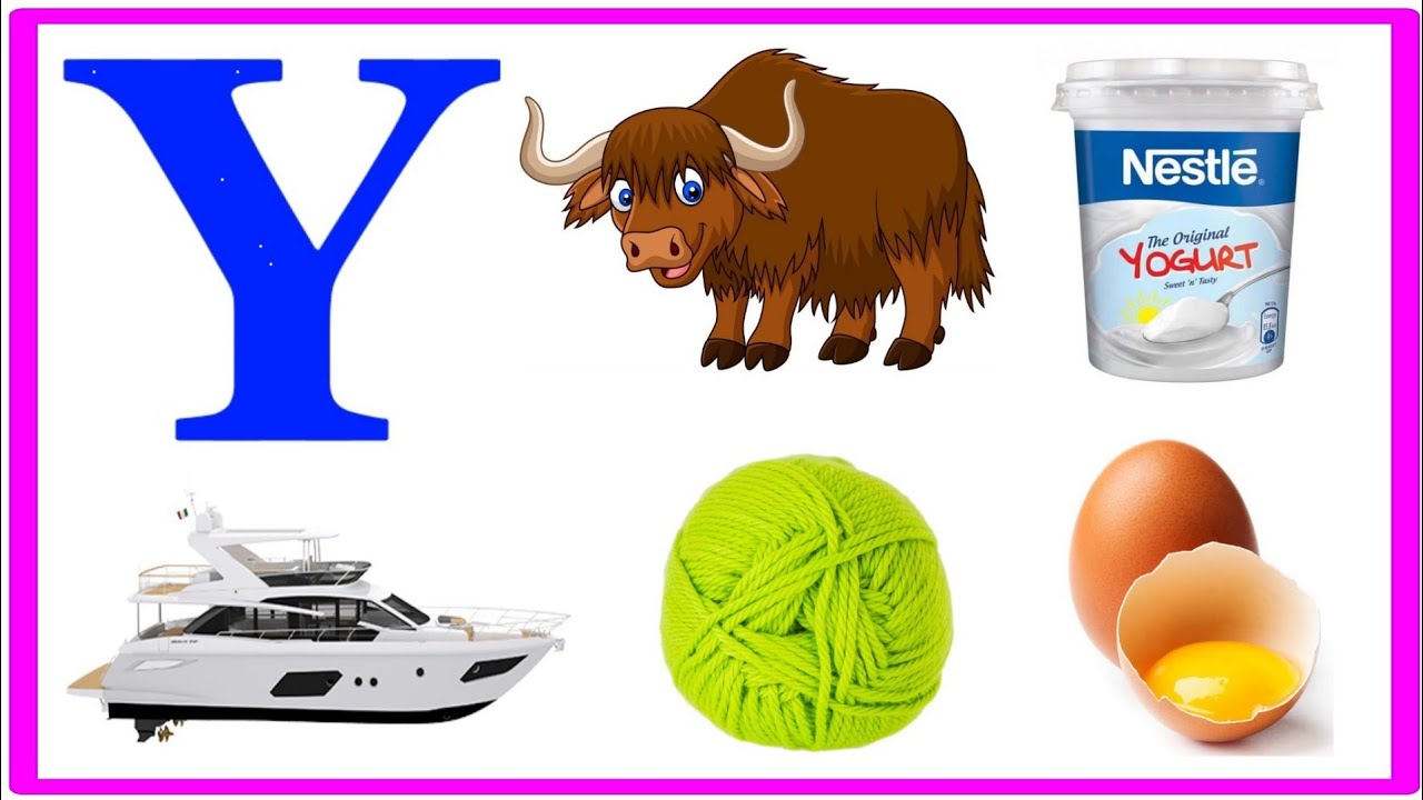 5 Words That Start With Y || 5 Words Learning For Toddlers || 5 Words From Y || Kids Learning Video