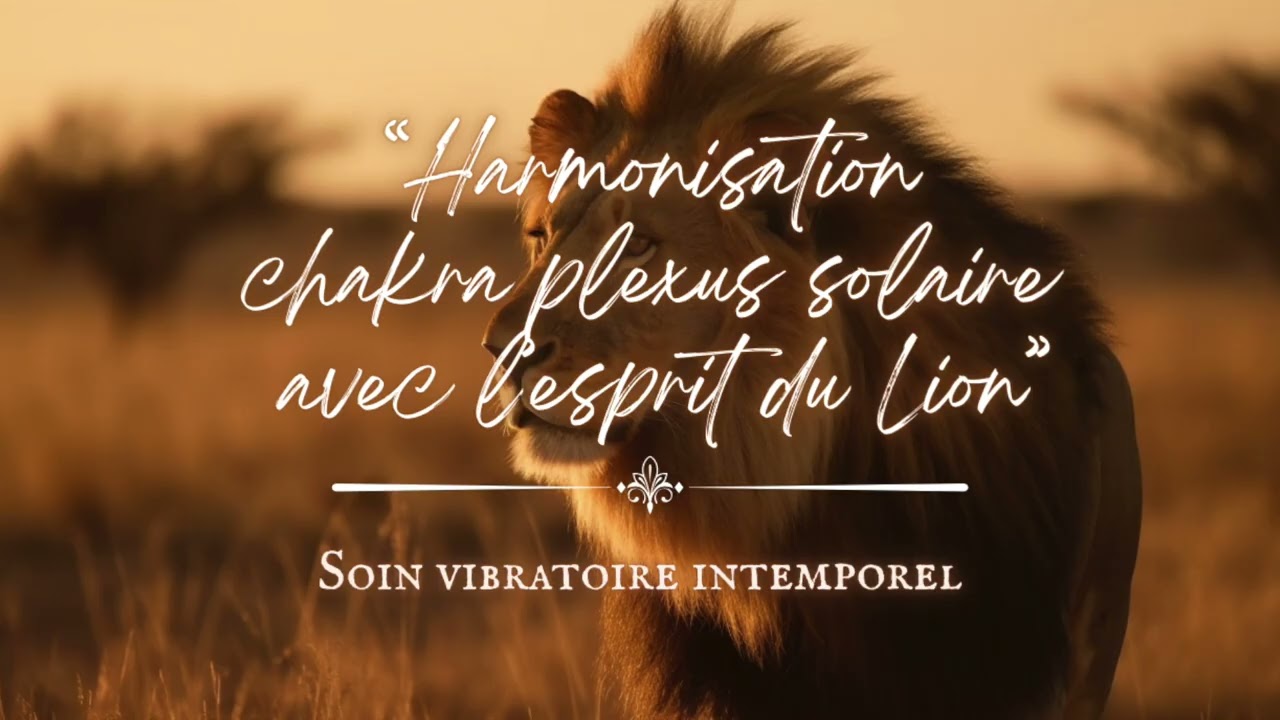 Soin vibratoire intemporel - Harmonisation plexus solaire