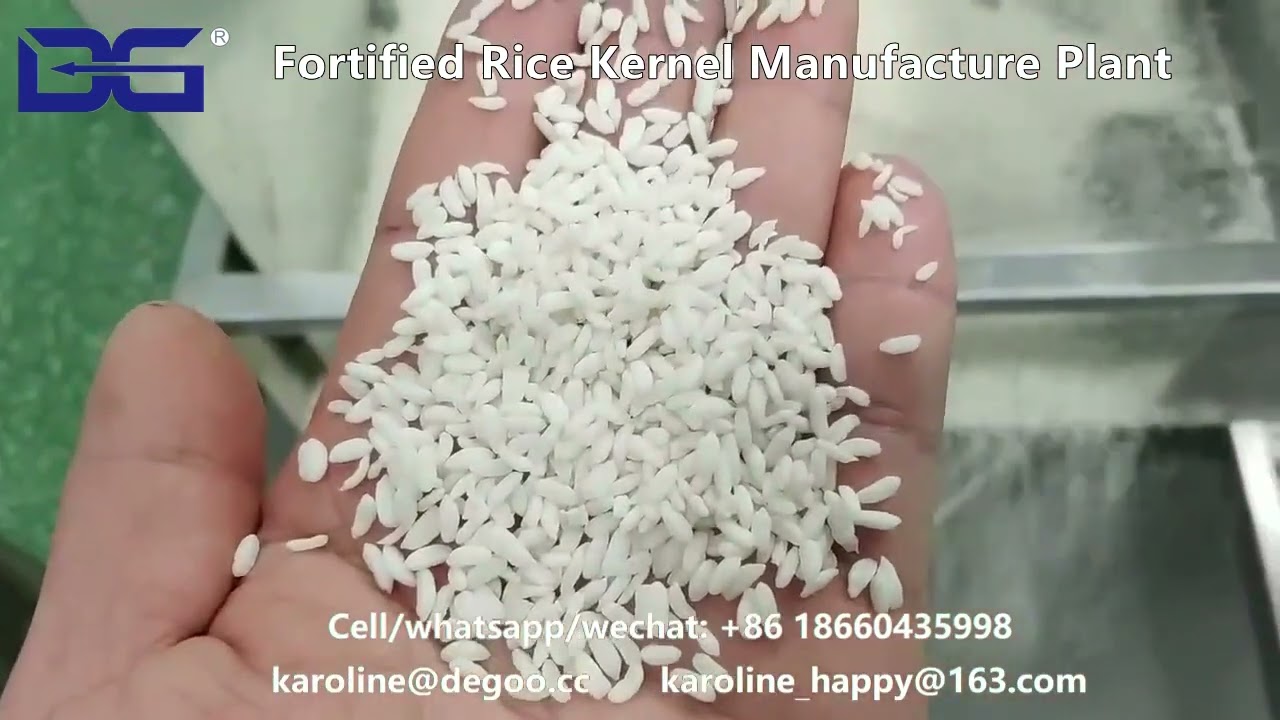 India 500kg/h 1000kg/h Fortified rice kernels manufacturing plant Nutritional Rice production line