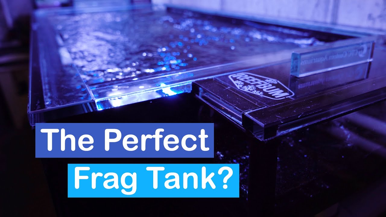 The Perfect Frag Tank?