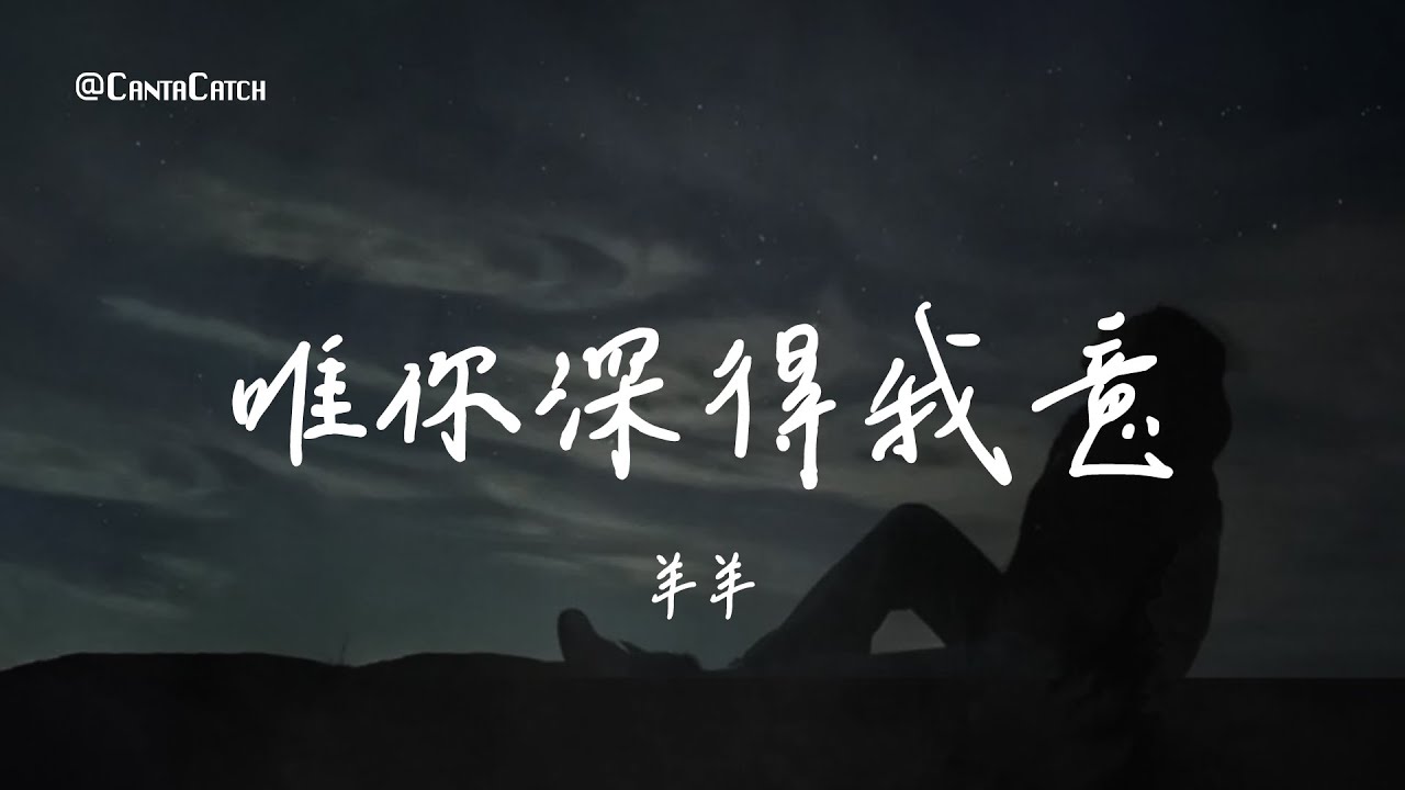 羊羊 - 唯你深得我意『曾吹過的風淋過的雨 也算在一起翻過的山 看過的海也算奔赴 你肩並肩看過的電影 錯過的風景你說忘就忘 我怎敢再提』【動態歌詞/PinyinLyrics】