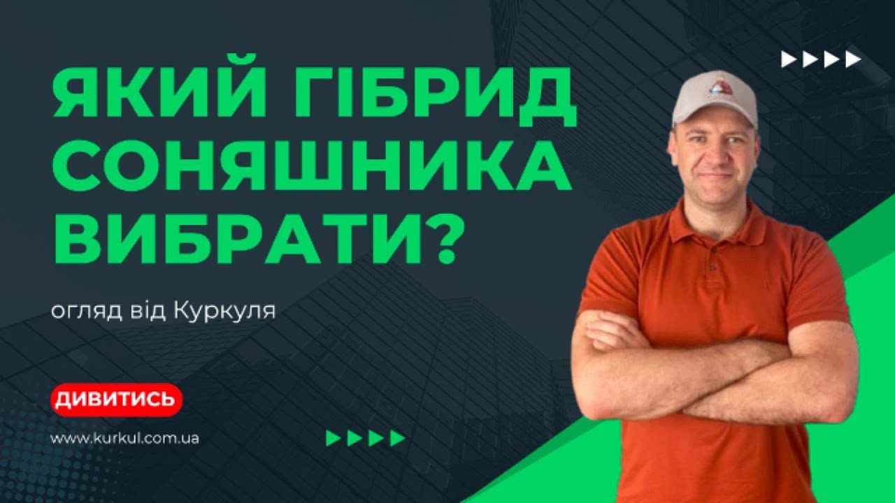 Як вибрати насіння соняшника на 2025 рік? Свіже чи того року? Яка фракція краще? Куркуль робе огляд!