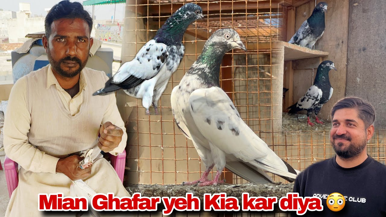 میاں غفار یہ کیا کر دیا تم نے 😳