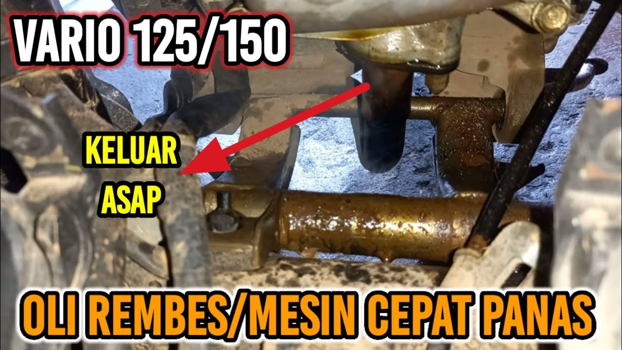 PENYEBAB MESIN VARIO 125 CEPAT PANAS DAN BAU SANGIT | PENYEBAB OLI MESIN VARIO 125 REMBES,NETES OLI