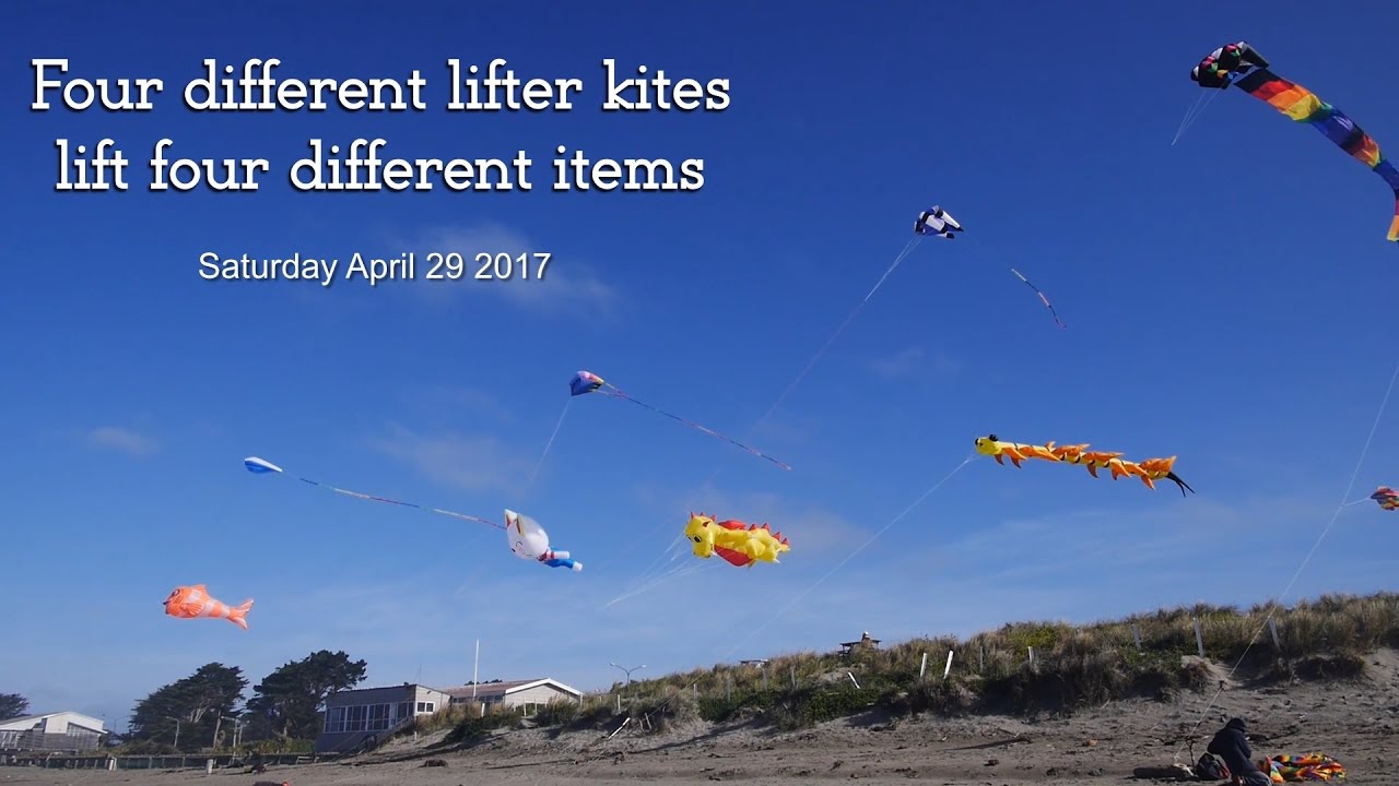 Four different lifter kites lift four different items