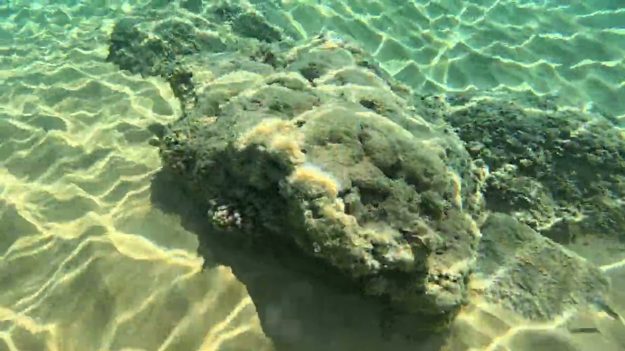 Ramla beach Gozo Malta snorkeling 