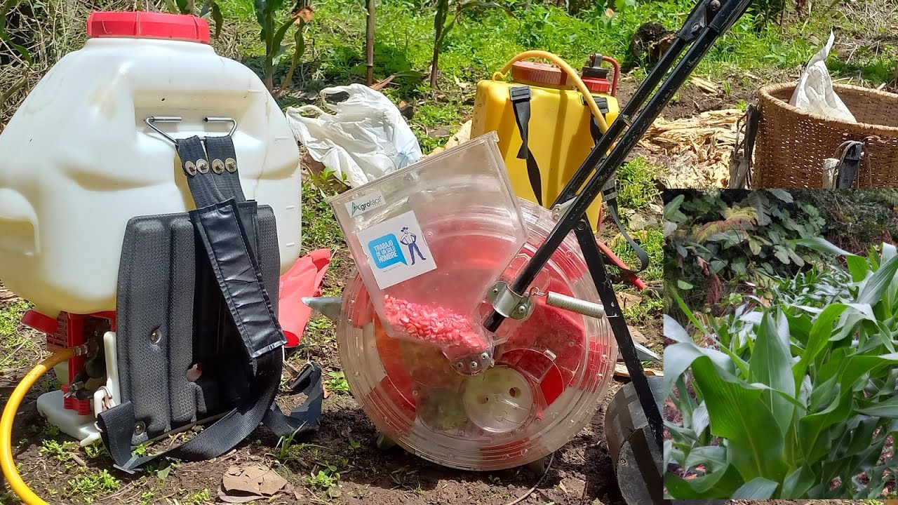 Siembra, fertilizacion, y hasta una sorpresa en este video.