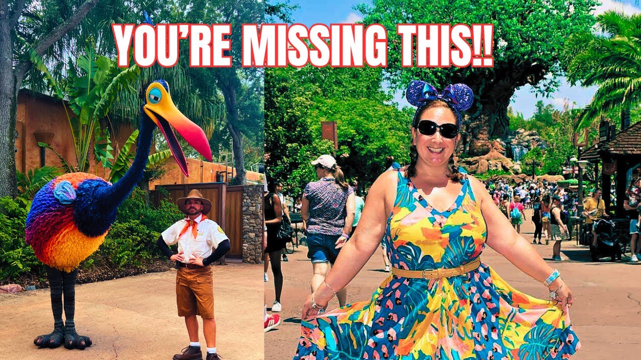 Animal Kingdom Solo Guide: Best Things To Do