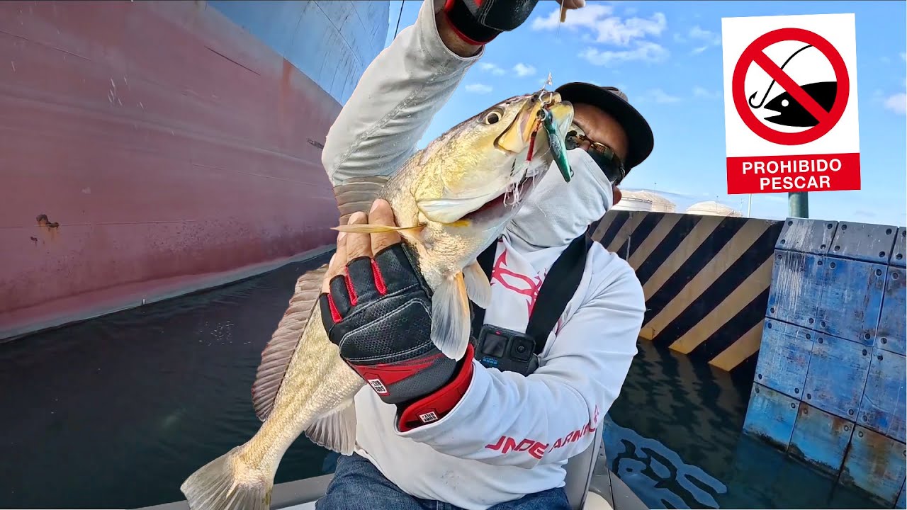 ME CORRIERON de los MEJORES LUGARES de PESCA