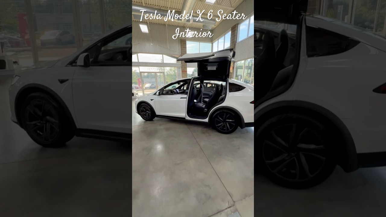 Tesla Model X 2025 | Pearl White Exterior & 6-Seater Interior