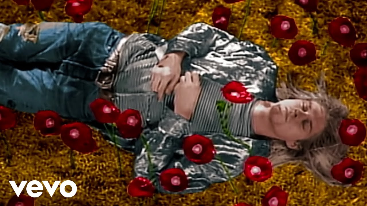 Nirvana - Heart-Shaped Box (Director's Cut)