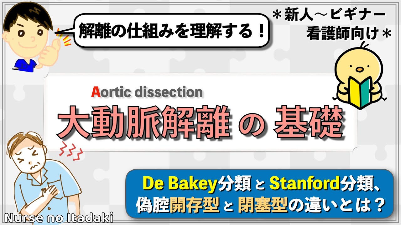 【大動脈解離の基礎】解離の仕組みと分類を理解しよう！