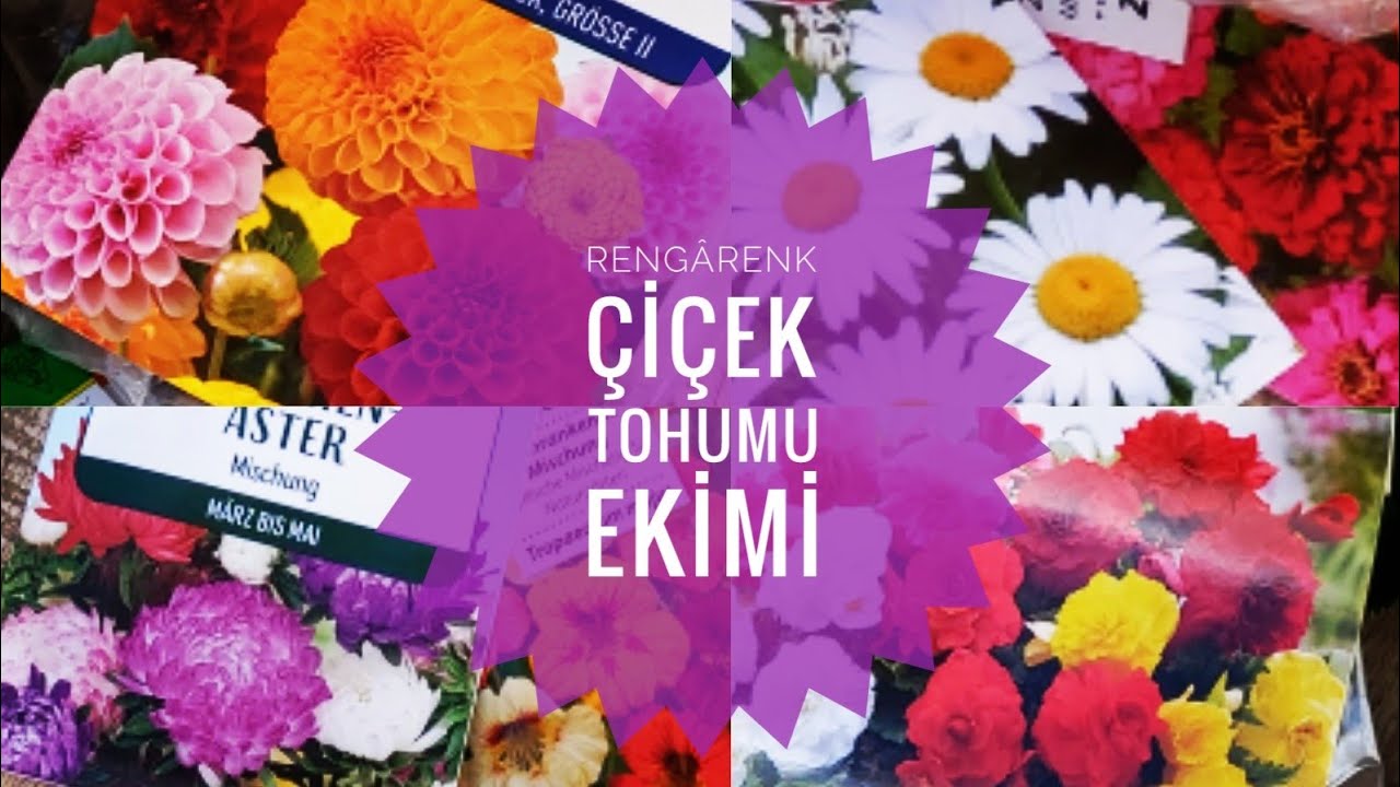 Hobi Bahçesi Çiçek Tohumu Ekimi / Bahar Çiçekleri