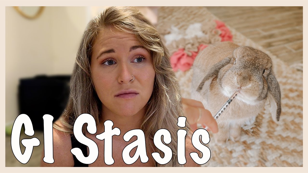 Our GI Stasis Story