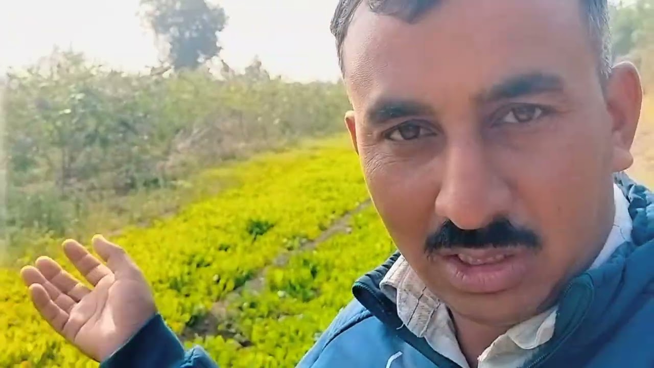 જુવાર નું વાવેતર કરવાનું છે ટ્રેક્ટર રોટાવેટર ચાલુ છે) #naturalfarming @jadejabhagirathsinh-pp4rh 