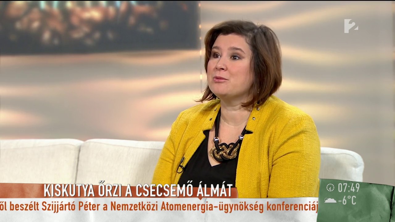 Baba és kutya egy családban: erre figyelj! - tv2.hu/mokka