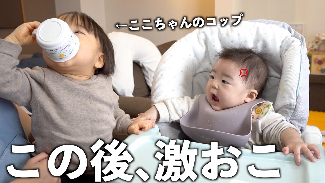 最後はコップを巡って大喧嘩【初めてのしらす】【年子姉妹】
