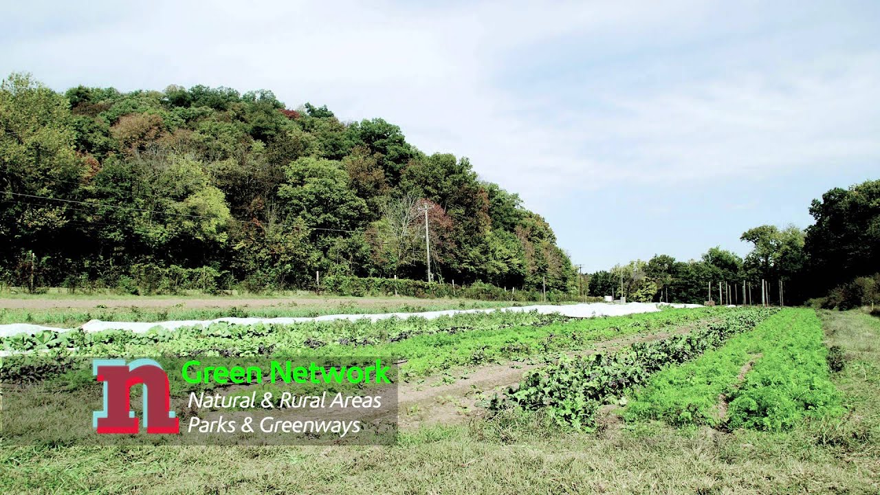 Green Network