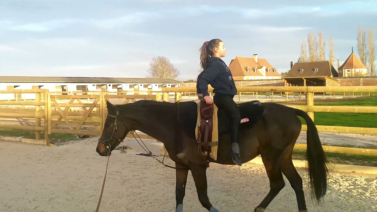 galop2 de voltige