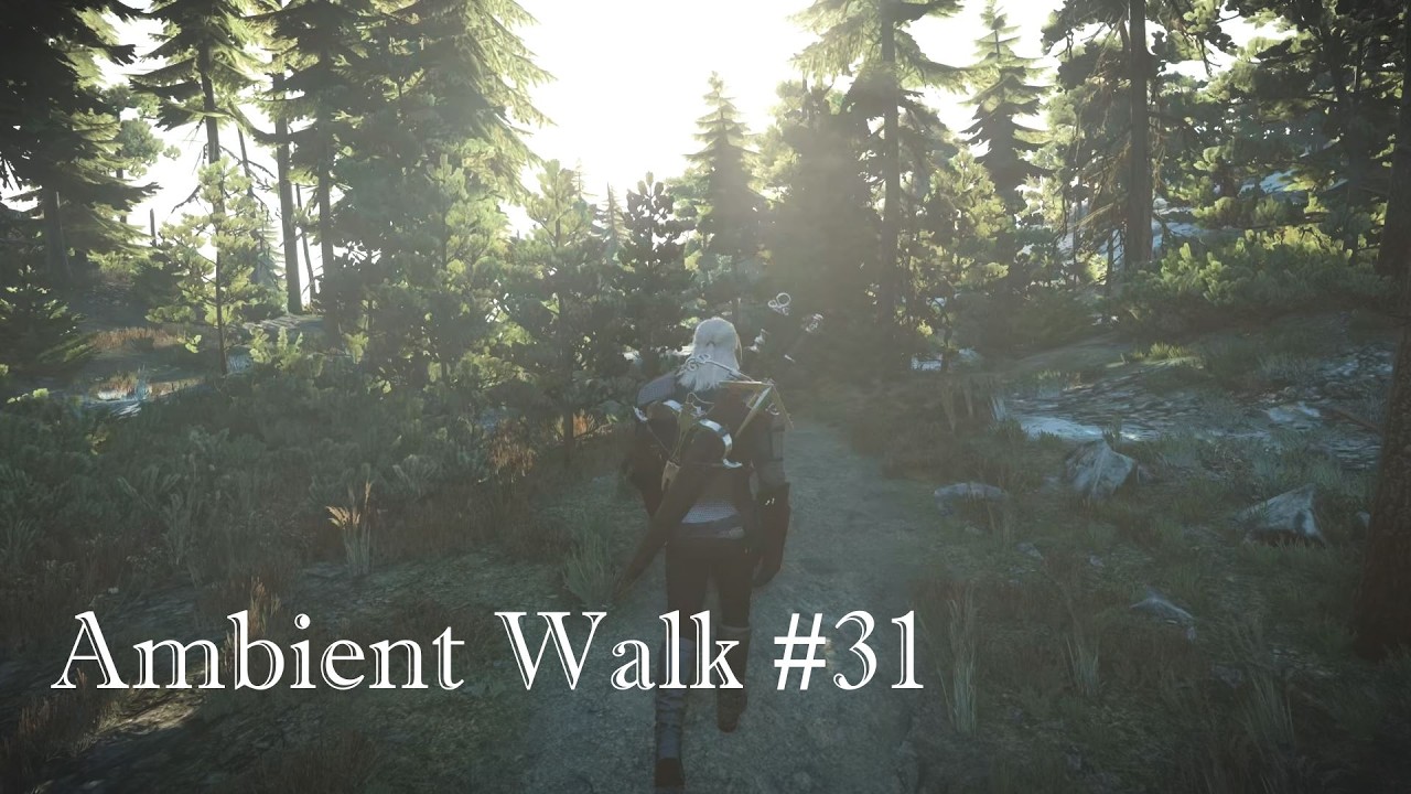 The Witcher 3 Ambient Morning Walk in Skellige Harviken
