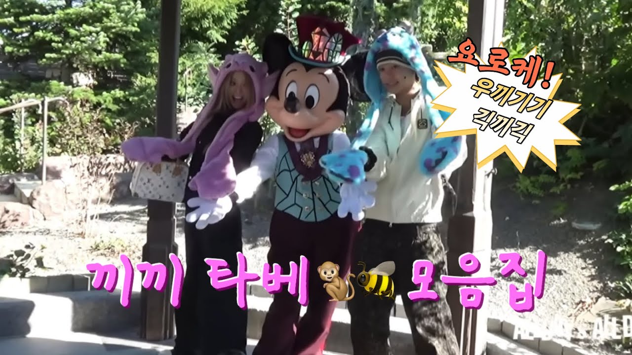 끼끼 타베 모음집 🐒🐝 