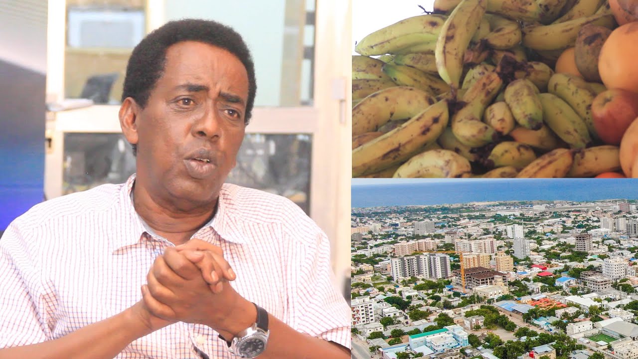 Prof.Yaxye Caamir oo sharaxaad ka bixiyay waxa Sababay Qiimaha korarka maciishada quutal daruuriga