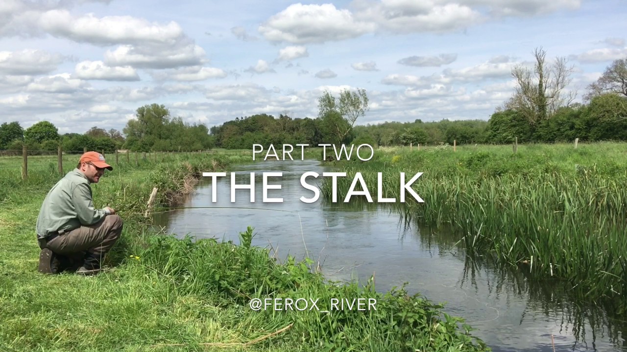 The Stalk Part 2: River Avon Fly Fishing
