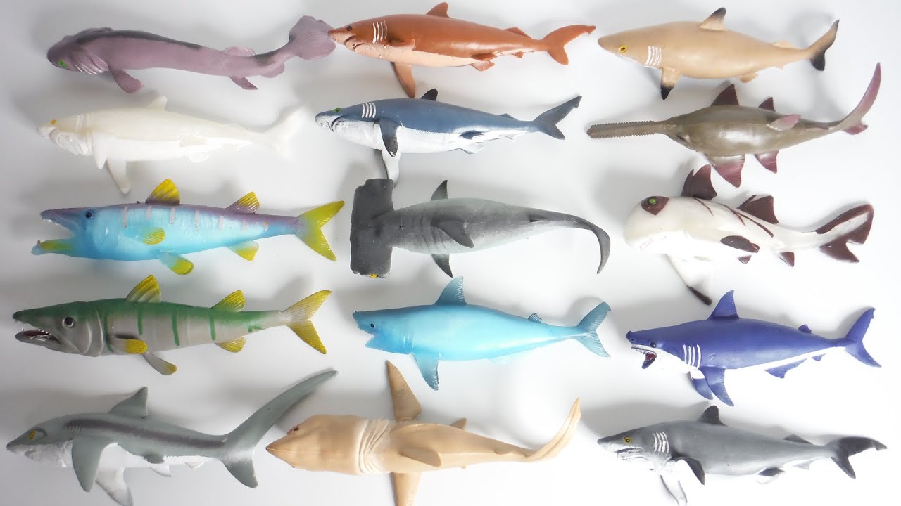 コンプリートセットのはずが!?のび〜るサメ!!シャーク＆Ｃｏ.（アンドコ） 開封 デアゴスティーニ スクイーズ shark & Co. DeAgostini squishy 食玩 candy toys