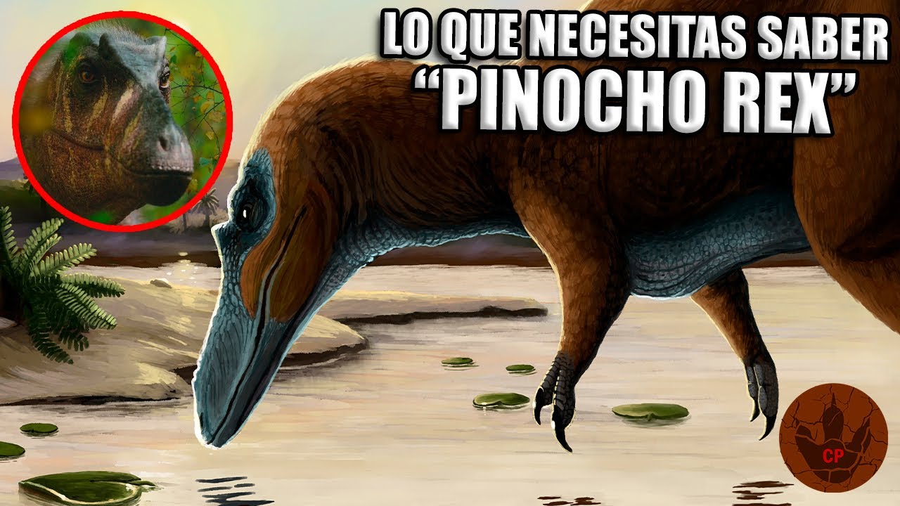 LO QUE NECESITAS SABER DEL 