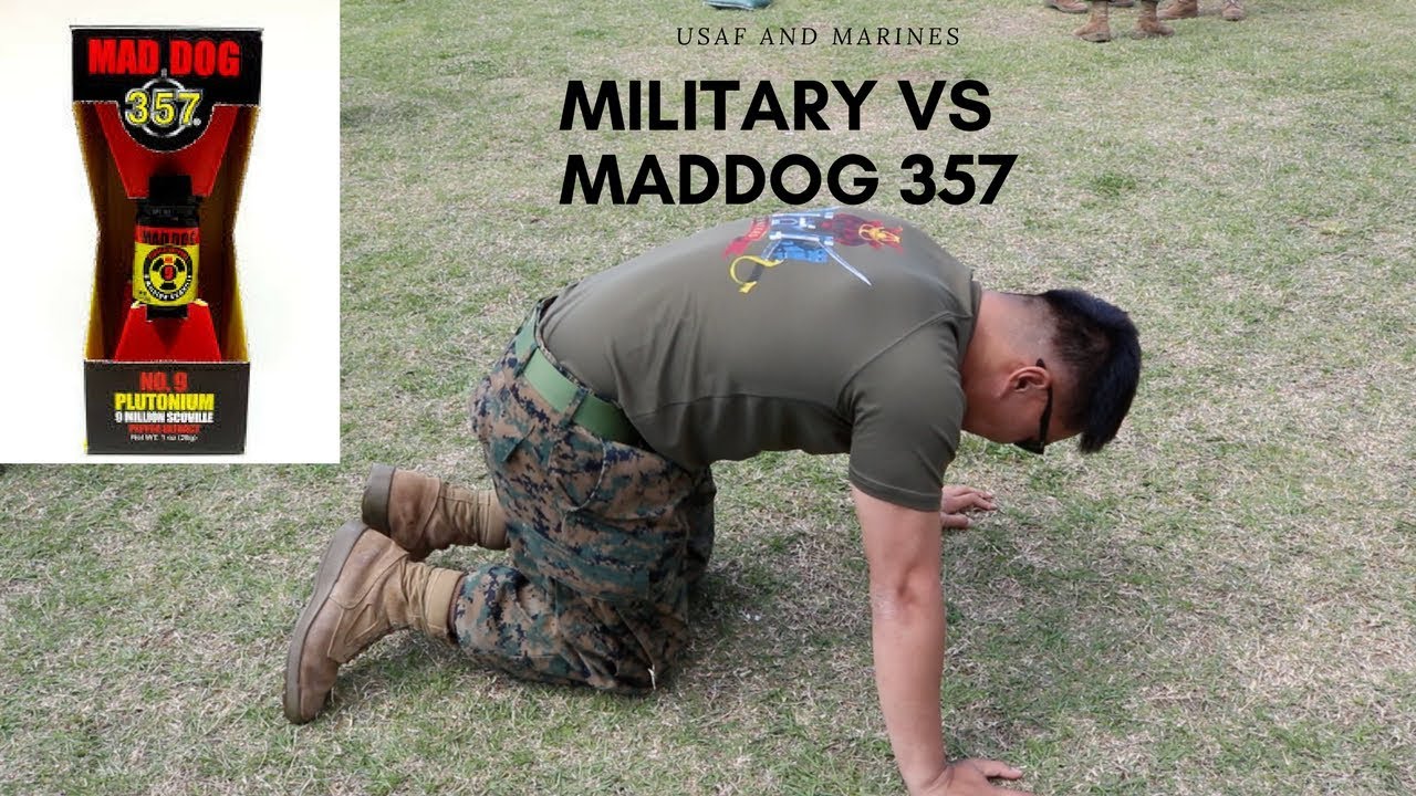 MILITARY VS MADDOG 357....