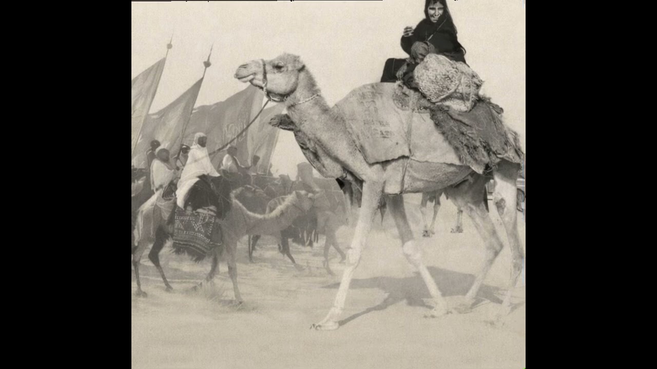 قصةوقصيدة