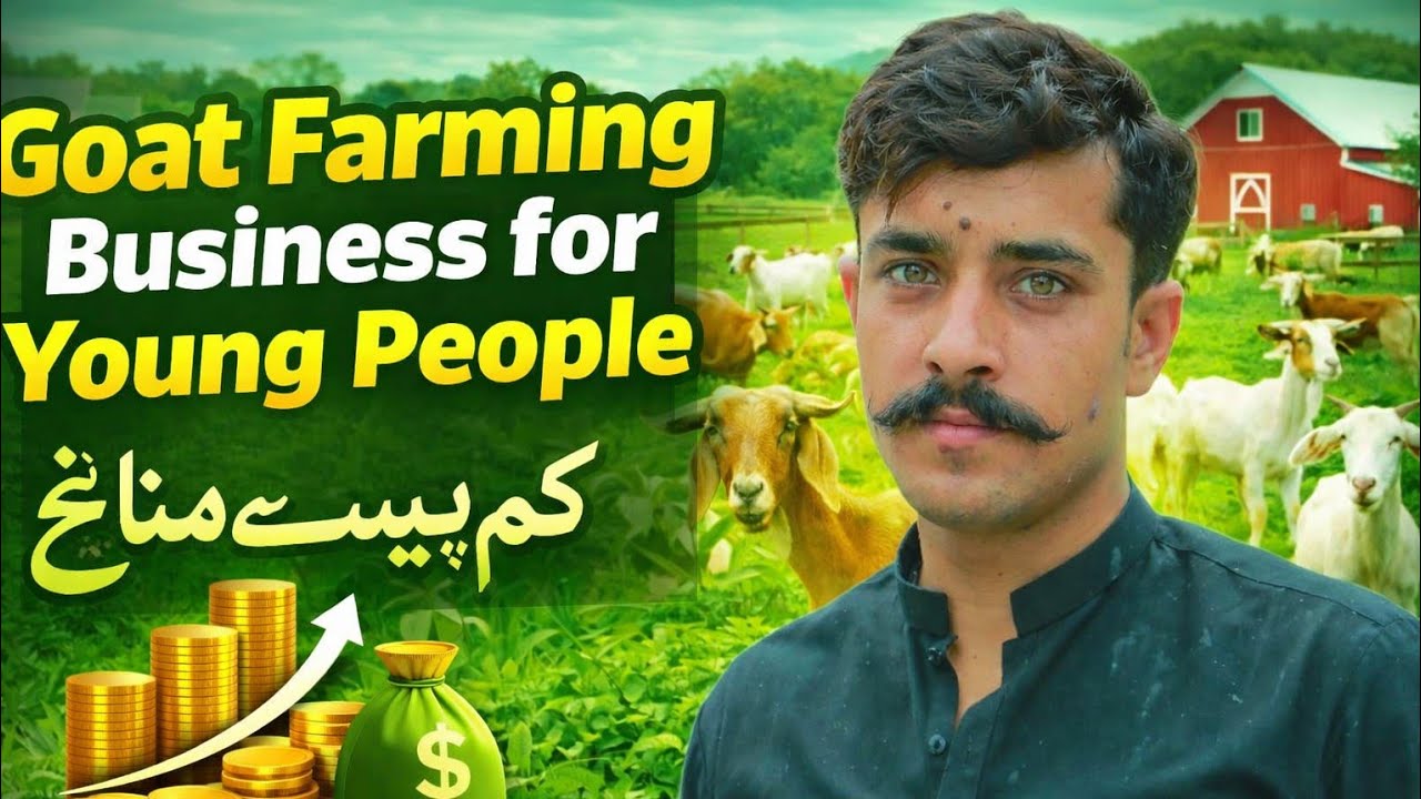 Goat Farming Business for Young People | Kam Paisay Mein Zyada Munafa | Malik Adil 