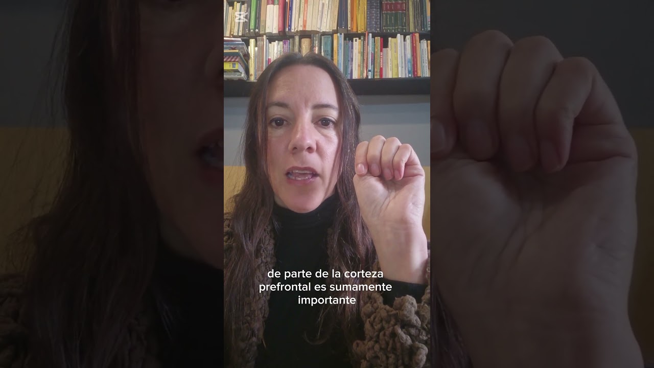 El cerebro en la palma de la mano #cerebro #crianza #crianzaconsciente #mindfulness