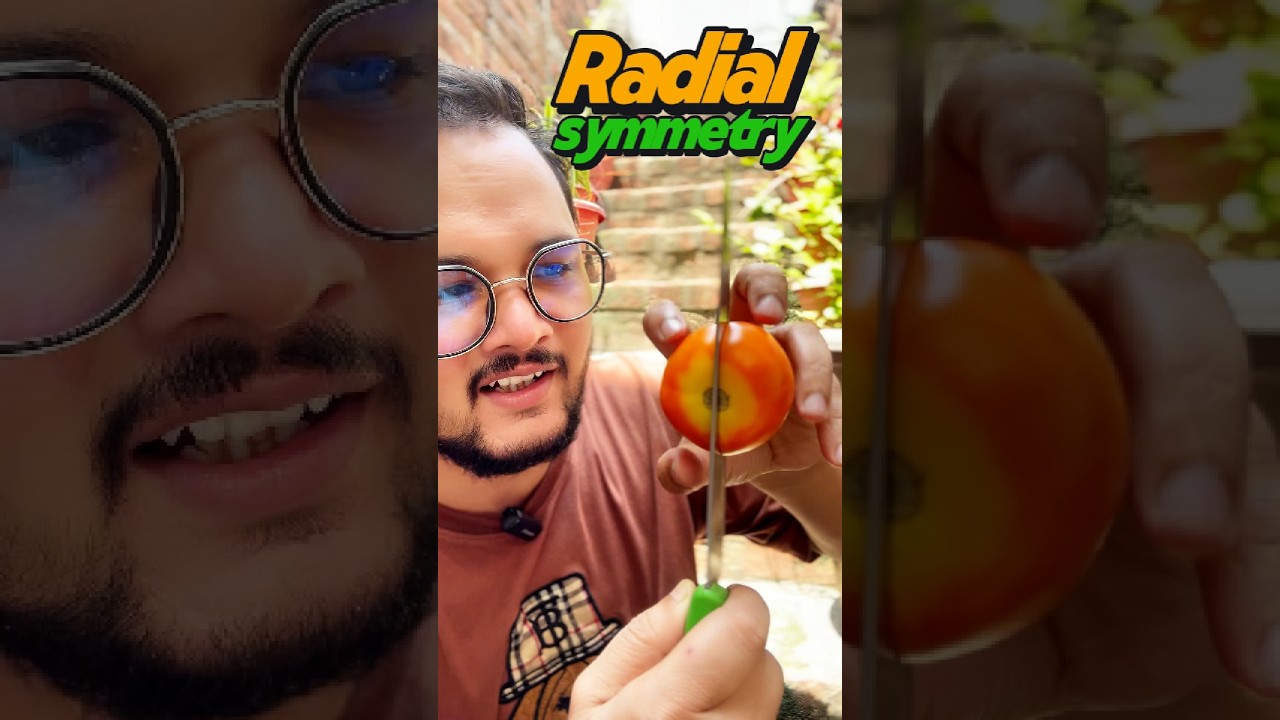 What Is Radial Symmetry? | Animal Kingdom | NEET & Class 12 Biology