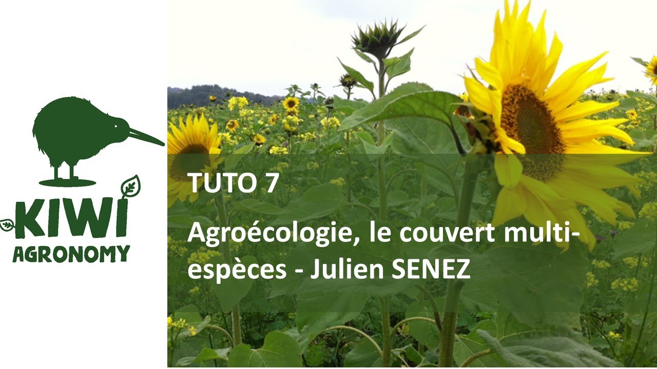 Julien SENEZ : Agroécologie, le couvert multi-espèces