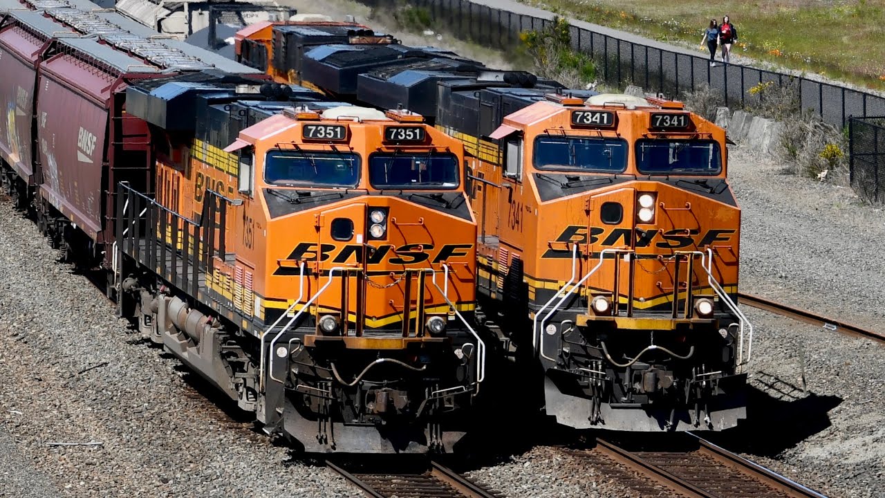 Train Meets and Races 2