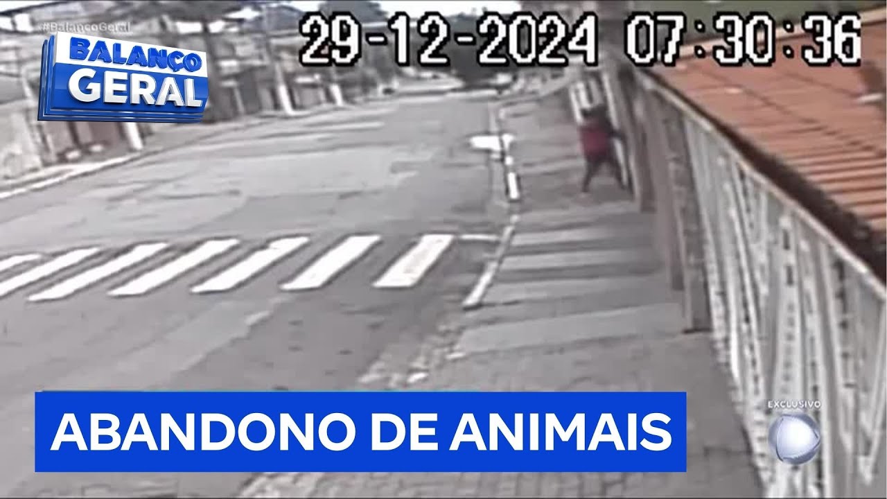 Homem acompanhado de criança abandona cachorro e joga animal por cima de portão em São Paulo (SP)