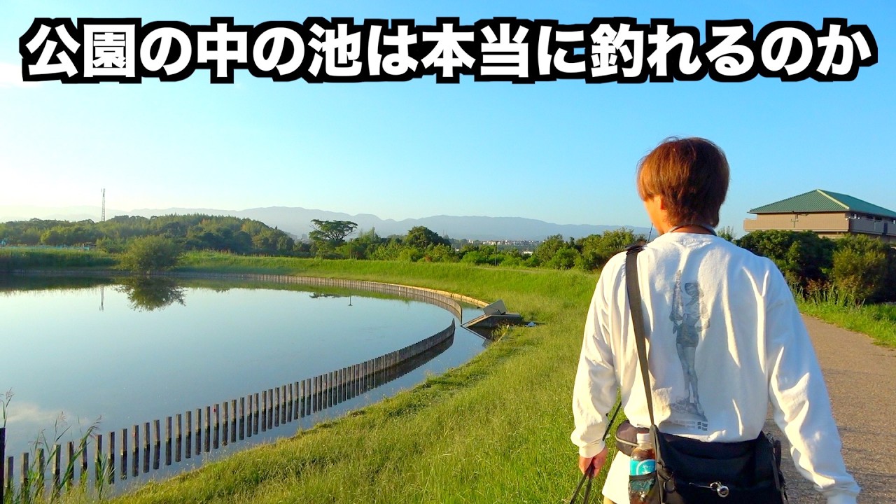 公園の中にある池めっちゃ釣れる説。