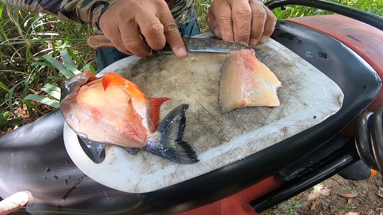 PREPAREI UM FILE DE PIRANHA NA BEIRA DA LAGOA veja como fico