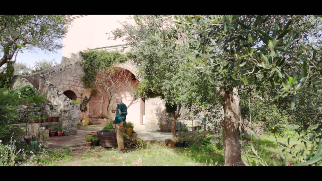 Una vacanza in Masseria nel basso Salento