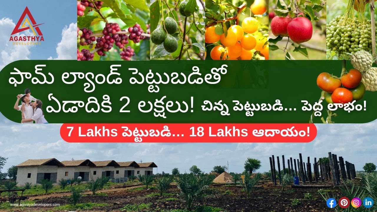Budget Farmlands | ₹7 Lakhs Investment | ₹2 Lakhs Return Every Year | Agasthya Developers