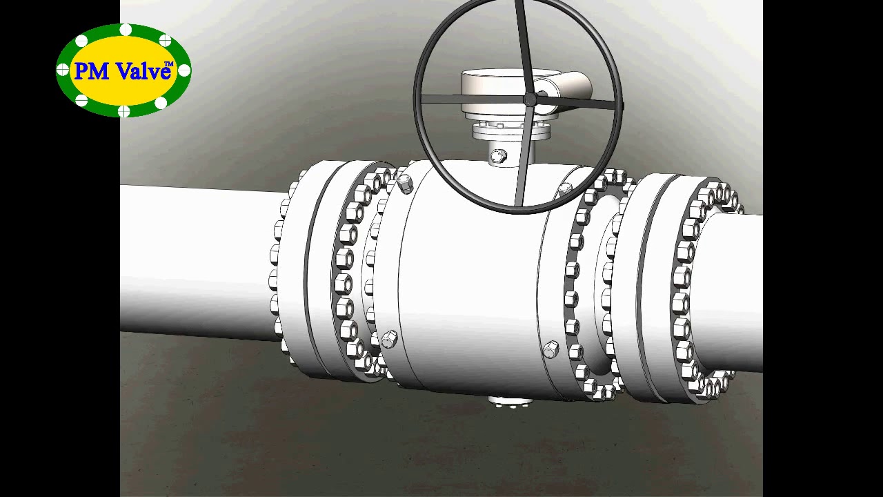 P.M. Valve Sealant injection