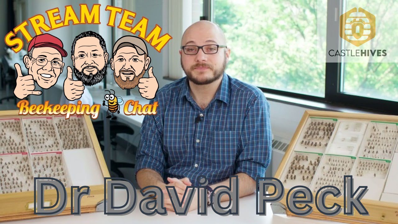 StreamTeam Bee Chat with Dr David Peck
