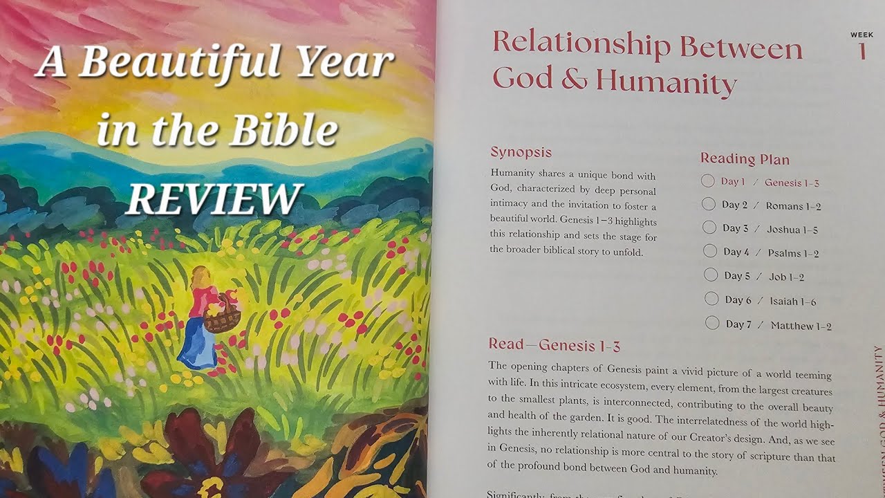 A Beautiful Year in the Bible (Bible Study Review)