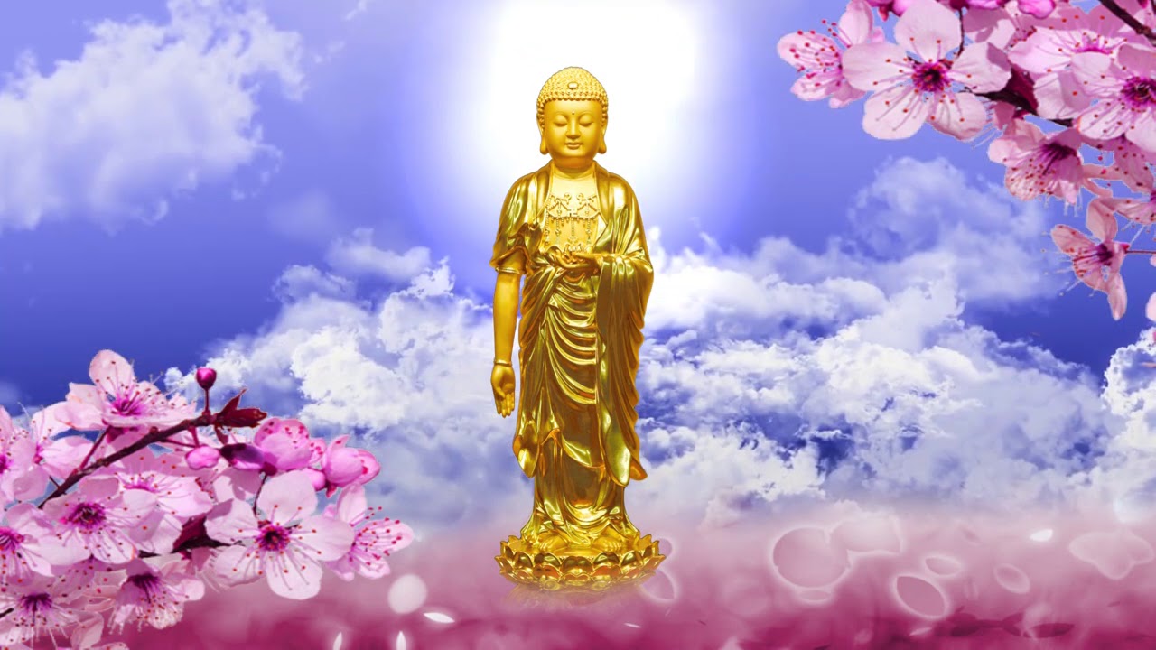 NIỆM PHẬT C&Ugrave;NG L&Atilde;O CƯ SĨ DIỆU &Acirc;M