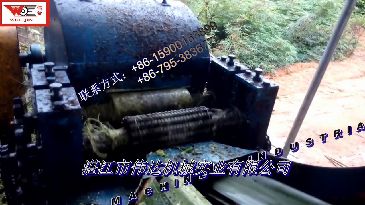 Sisal fiber production line